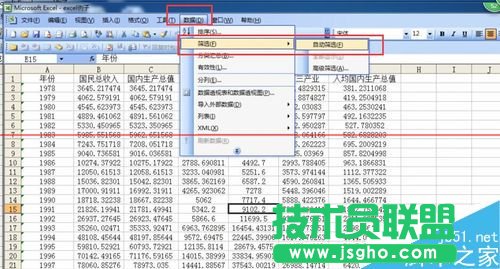 Excel表格中對指定的數(shù)據(jù)進行篩選的詳細教程