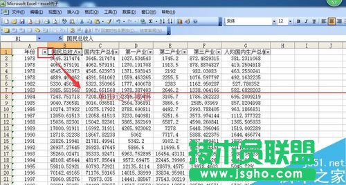 Excel表格中對指定的數(shù)據(jù)進行篩選的詳細教程