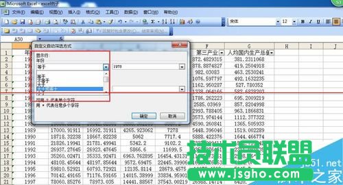 Excel表格中對指定的數(shù)據(jù)進行篩選的詳細教程