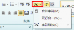 用WPS“雙行合一”造字