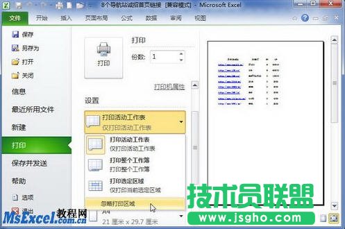 excel2010打印區(qū)域設置