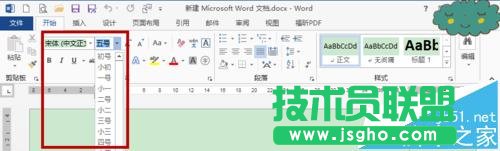 word2013羅馬數(shù)字字磅的字體怎么改成中文字號?