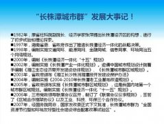 如何處理PPT中大量文字的排版