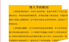 在Word2007中如何給文檔頁面設(shè)置邊框和底紋?
