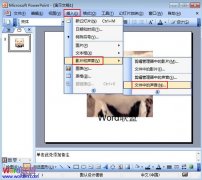 PowerPoint2003如何添加背景音樂