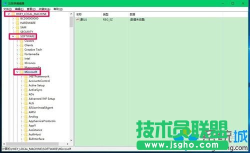 展開：HKEY_Local_MACHINESoftwareMicrosoft