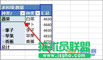 Excel教程 怎樣設(shè)置數(shù)據(jù)透視表字段分組方法