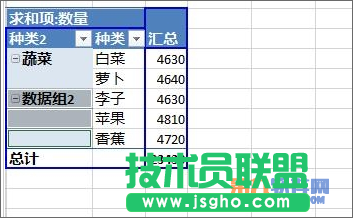 Excel教程 怎樣設(shè)置數(shù)據(jù)透視表字段分組方法