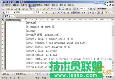 活用WPS表格轉換為歌詞句首字母改大寫
