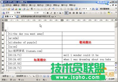 活用WPS表格轉換為歌詞句首字母改大寫