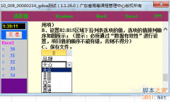 Excel2010數(shù)據(jù)有效性序列如何進行設(shè)置?
