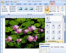 Word2007中圖片位置的高級(jí)布局