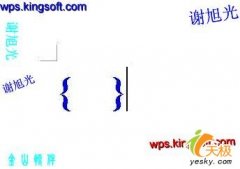 wps中這種不同顏色的分子分母