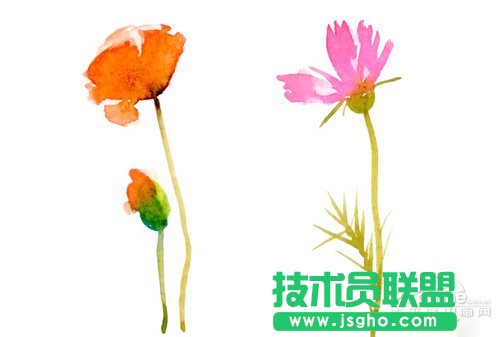 好照片教你打造清新花卉攝影作品 三聯(lián)教程