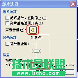 讓插入WPS演示中的有聲影片播放時不發(fā)聲