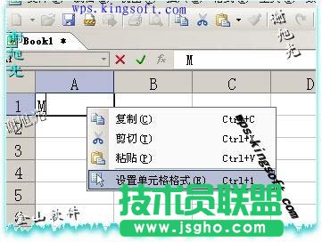 如何在WPS表格中輸入平方和立方符號(hào)