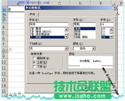 如何在WPS表格中輸入平方和立方符號(hào)