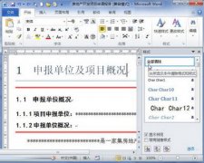 word2010處理格式和樣式的技巧