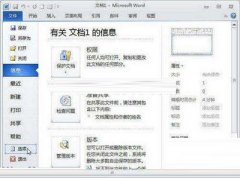 Word2010中復(fù)制、剪切和粘貼技巧
