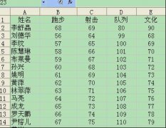WPS表格技巧：巧用條件格式查找重復(fù)數(shù)據(jù)