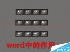 word中F1到F12功能鍵怎么使用？