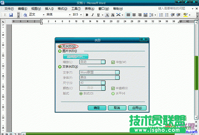 Word2003文檔中怎么樣去水印