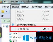 Win7系統(tǒng)中虛擬機(jī)安裝vmtools后鼠標(biāo)漂移如何解決？